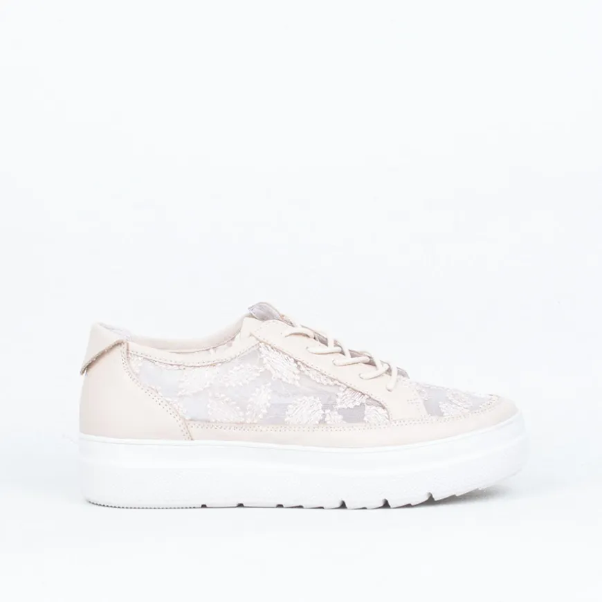 Boss Lace Up^Gelato Store
