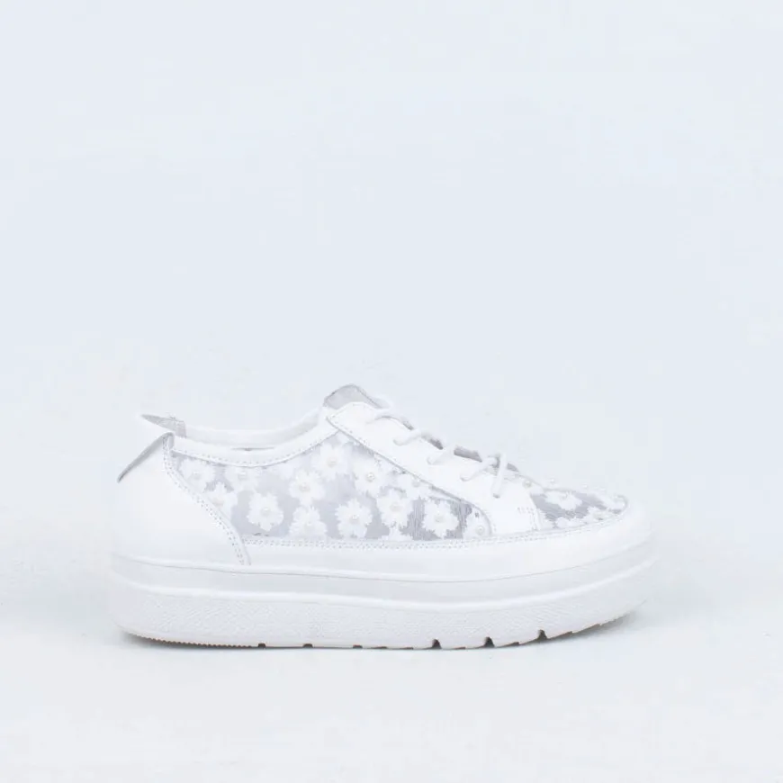 Boss Lace Up^Gelato Store