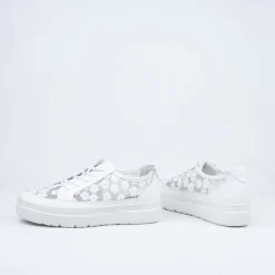 Boss Lace Up^Gelato Store