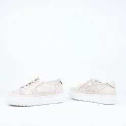 Boss Lace Up^Gelato Store