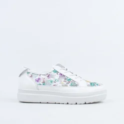Boss Lace Up^Gelato Store