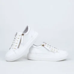 Zackie Sneaker^Gelato Online