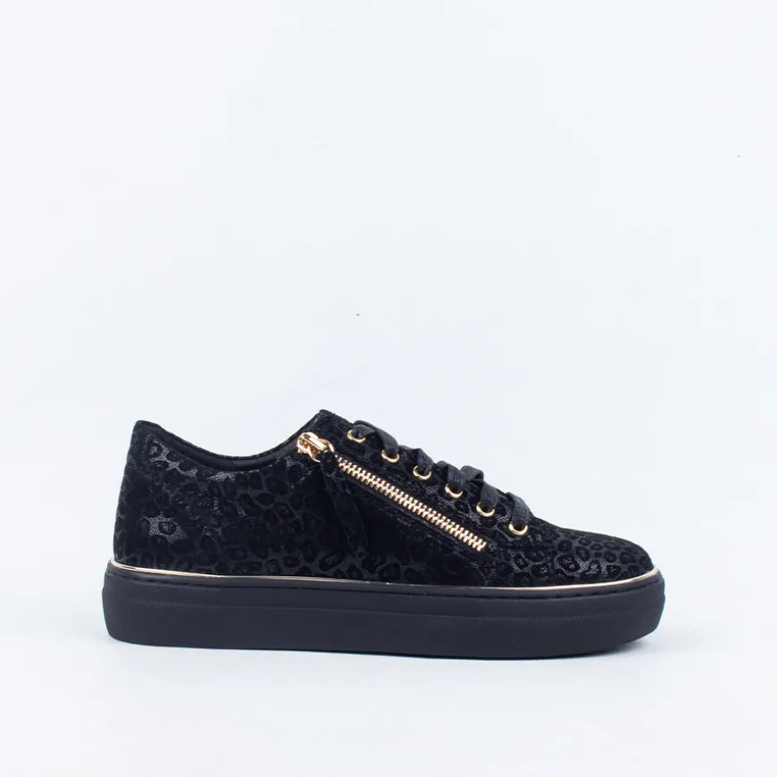 Zane Sneaker^Gelato Sale